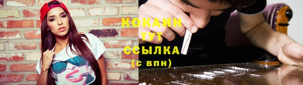 ECSTASY Богданович