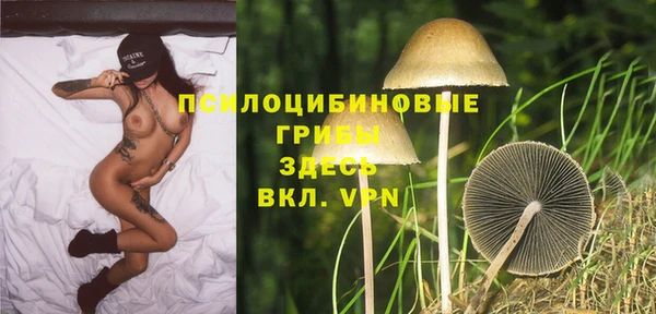 твердый Белокуриха