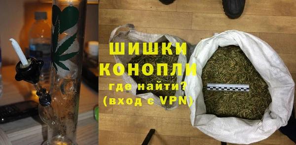 ECSTASY Богданович