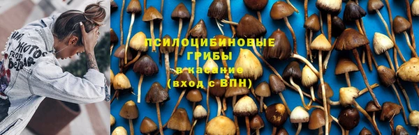 ECSTASY Богданович
