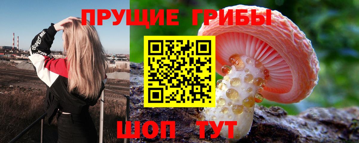 Галлюциногенные грибы мухоморы Видное