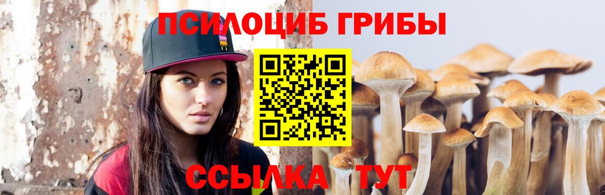 дарнет шоп  Псилоцибиновые грибы прущие грибы  Видное  Вход с VPN  Галлюциногенные грибы прущие грибы 